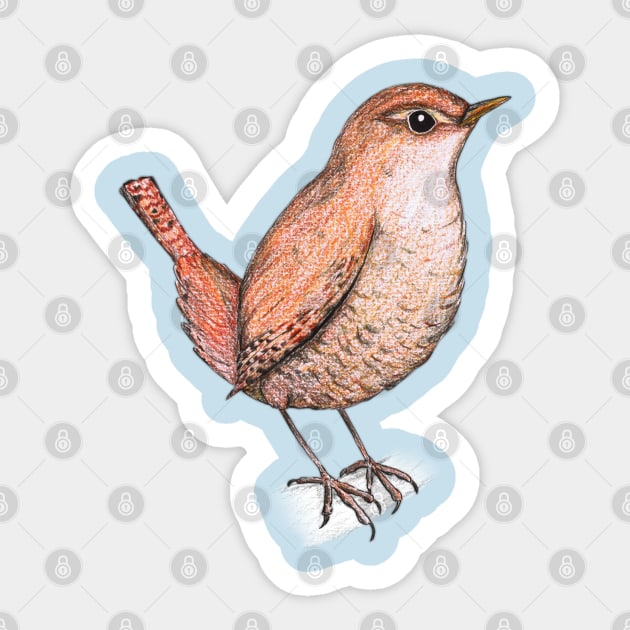 Wren Sticker by Bwiselizzy